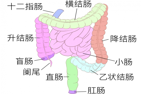 包頭東大肛腸專科醫院地址
